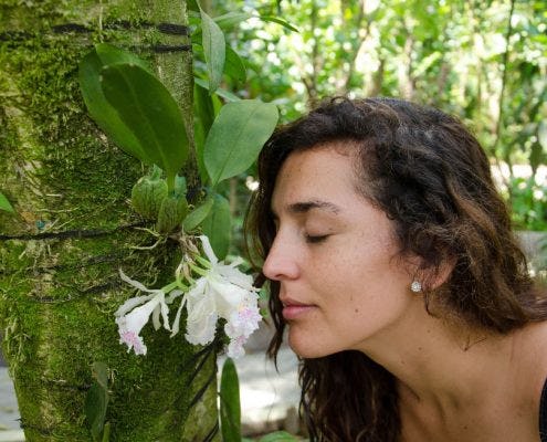 Orchid Flower at La Fortuna Waterfall